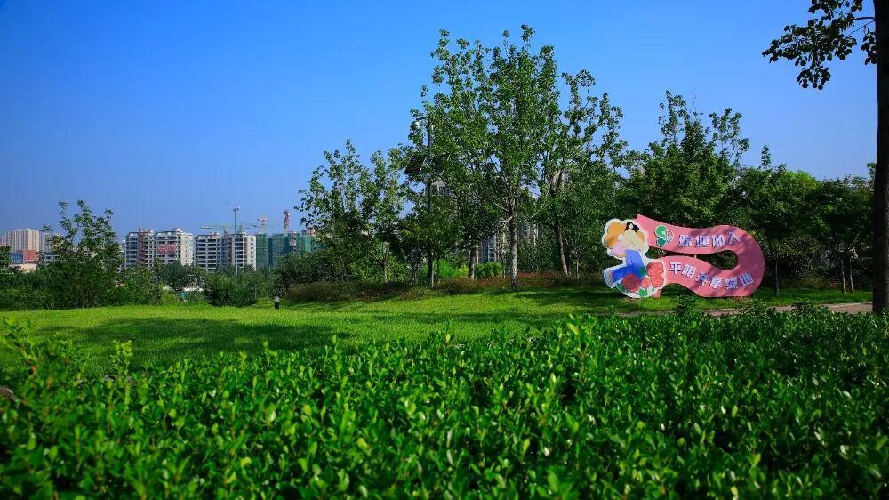 平阴县锦东公园南门西侧共享绿地