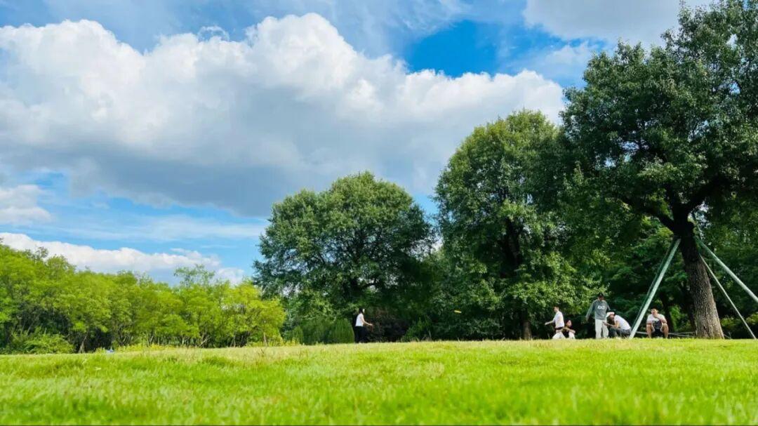 济南森林公园北部大草坪