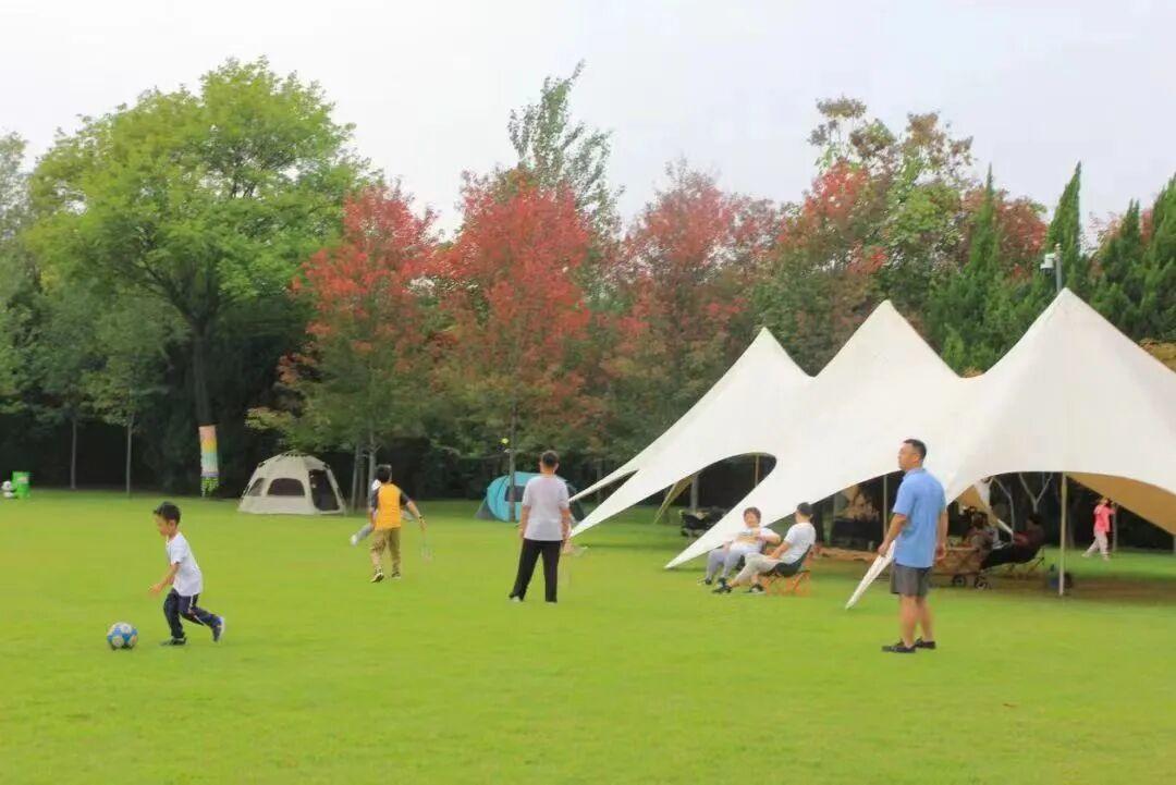 济南植物园彩色植物区大草坪