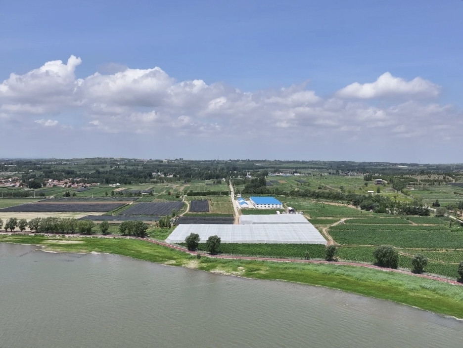 “峡山水韵”雪茄烟种植省级示范园