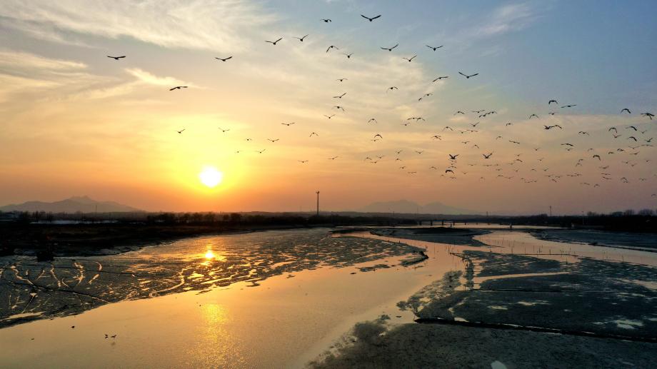 两城河口湿地轮廓镶金,粼粼波光与暖橘色日出相融。安佰明 摄