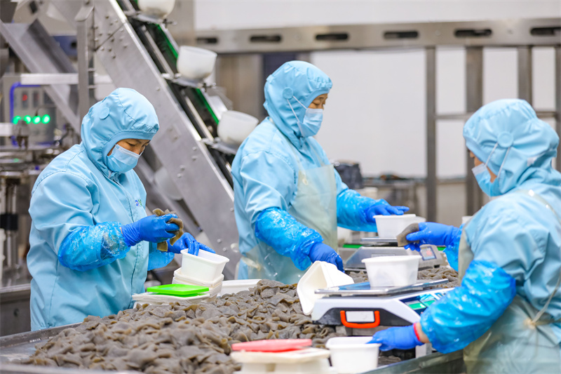 12月18日，在位于山东省乐陵市的山东民安食品股份有限公司，工人在分装生产线上忙碌。（张鹰 摄）