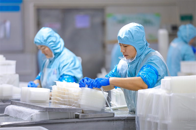 12月18日，在位于山东省乐陵市的山东民安食品股份有限公司，工人在分装生产线上忙碌。（张鹰 摄）