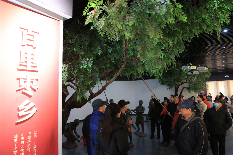 12月19日，游客在山東德州樂陵市的中國金絲小棗文化博物館內體驗打棗樂趣。周廣學攝