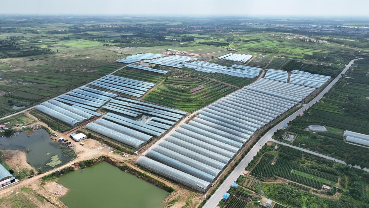 该行发放5.2亿元贷款支持的印象大泽乡村振兴示范片区项目