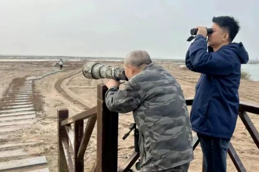 东营：十期观鸟研学实践解锁“鸟类密码”
