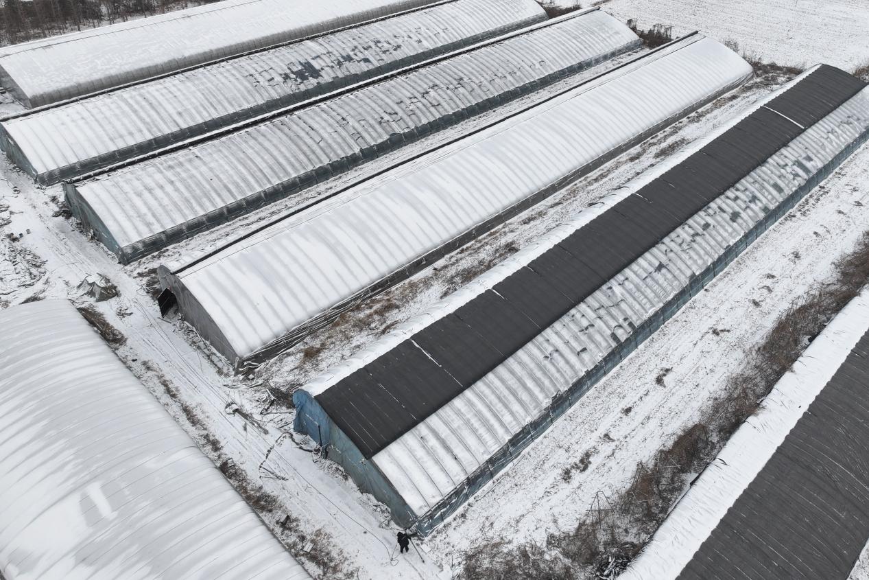 1 DJI_20260119085058_0148_D_1