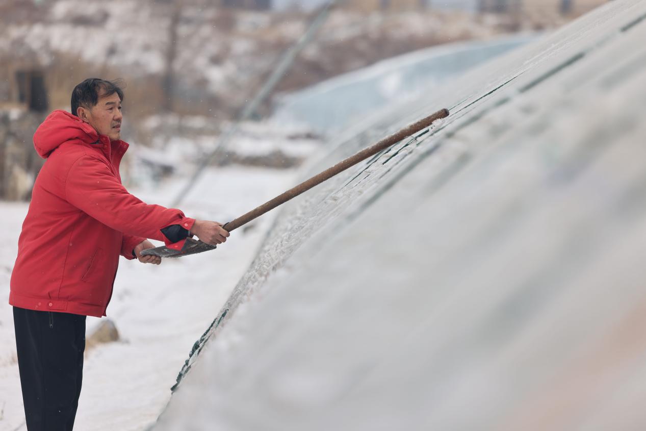 6 AP4A0819_爱奇艺_2