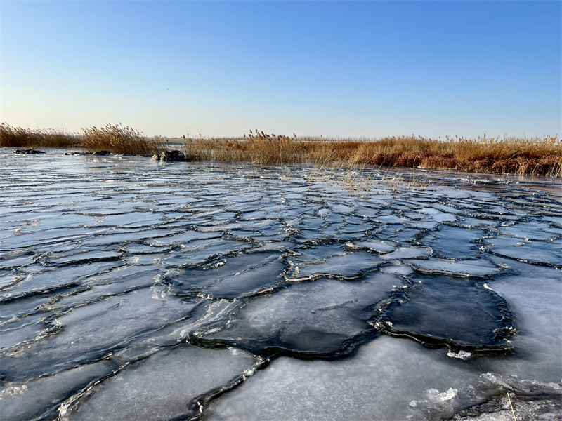 三色交融，如梦似幻！潍坊峡山湖现“冰推”奇观