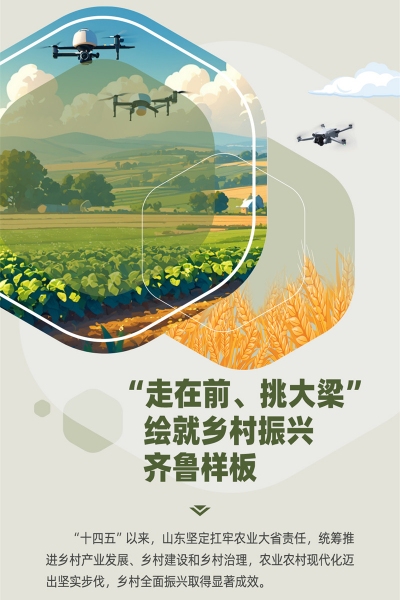 走在前、挑大梁”  绘就乡村振兴齐鲁样板