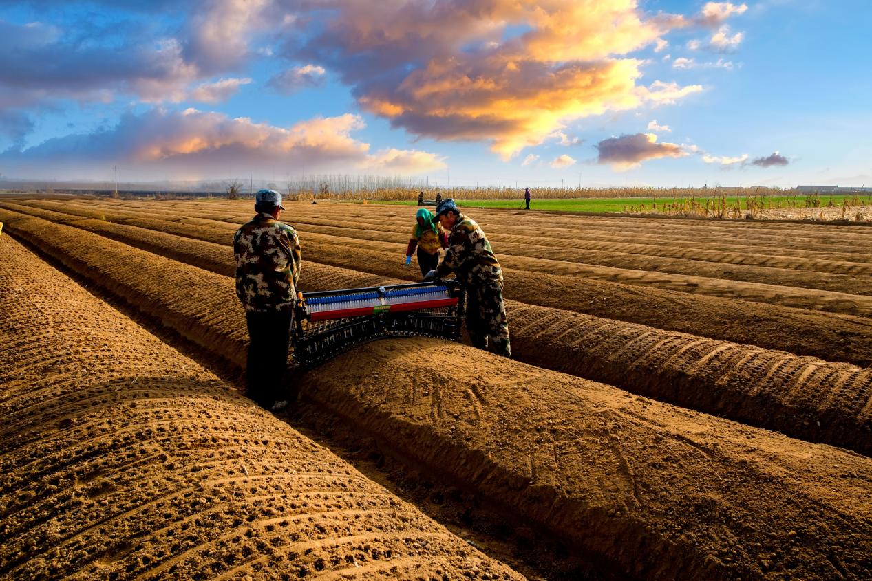 該行支持的西洋參特色產業融合發展項目