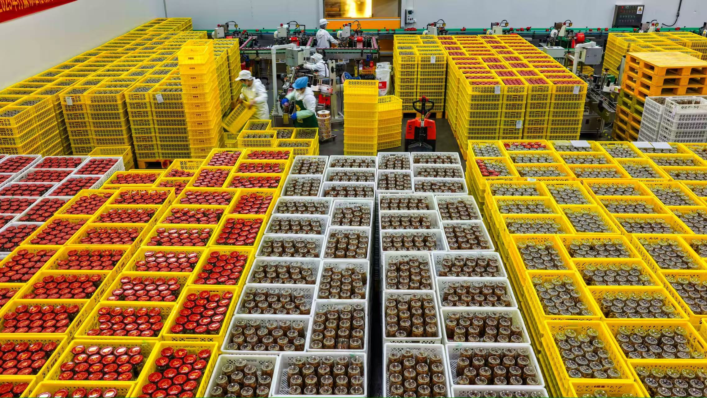 2026年2月3日，山東金鵬德盛齋扒雞有限公司魚罐頭生產車間，員工正在趕制訂單產品（無人機照片）。