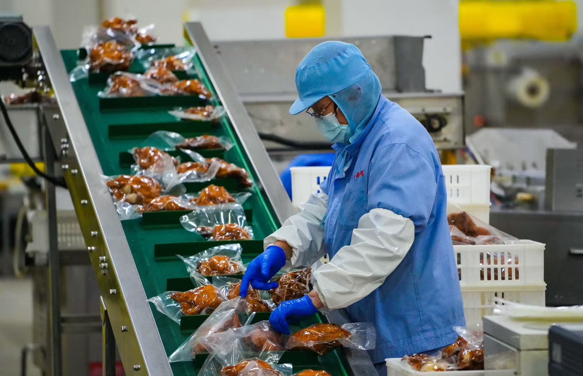2026年2月3日，山東金鵬德盛齋扒雞有限公司扒雞生產車間，員工正在趕制扒雞制品。