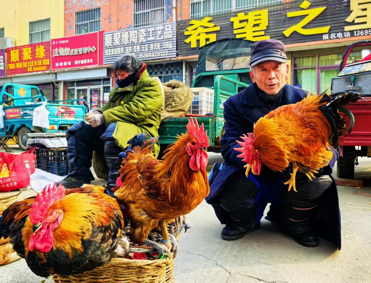 攤主向顧客介紹自家產的泰山散養大公雞。戰翠萍攝