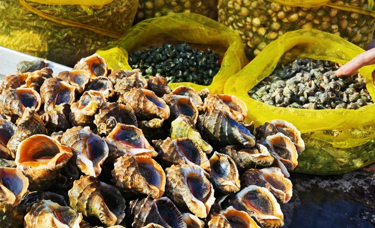 青島泊裡大集上的各式海產品。馬柯欣攝