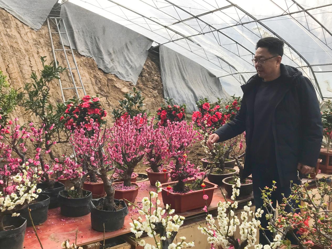 劉廣安已經與花為伴四十余年。人民網記者 劉穎婕攝