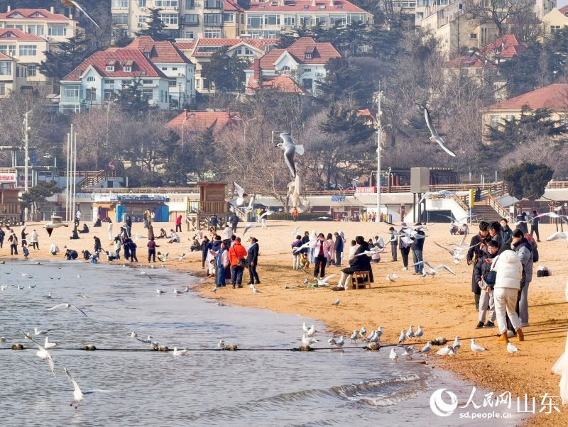 游客們有序駐足，耐心等候海鷗降臨。人民網記者 劉穎婕攝