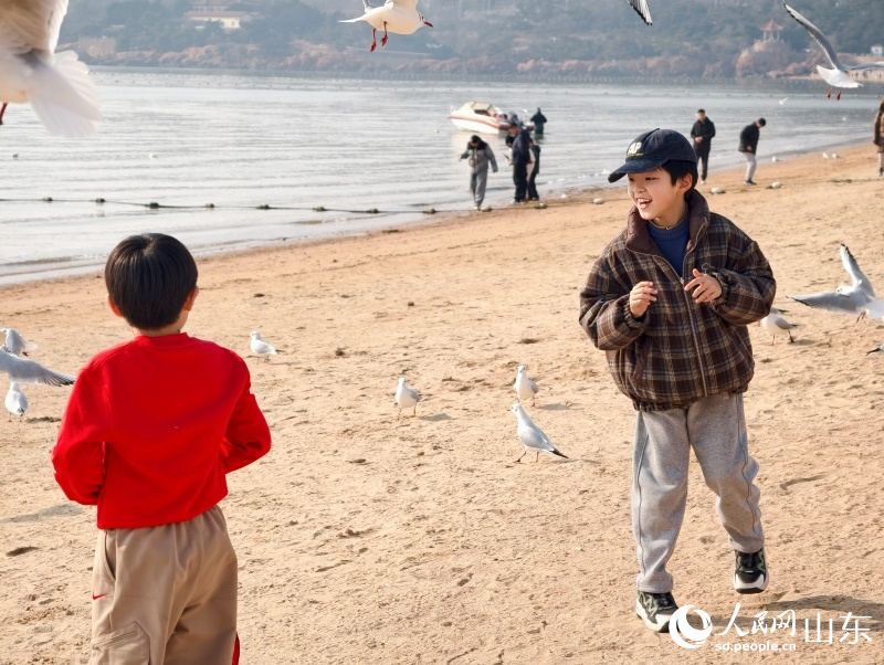 海鷗聚集於海灘，與前來游玩的孩子們熱情互動。人民網記者 劉穎婕攝