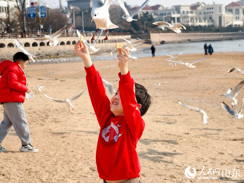 孩子伸出手臂等待海鷗俯沖取食。人民網記者 劉穎婕攝