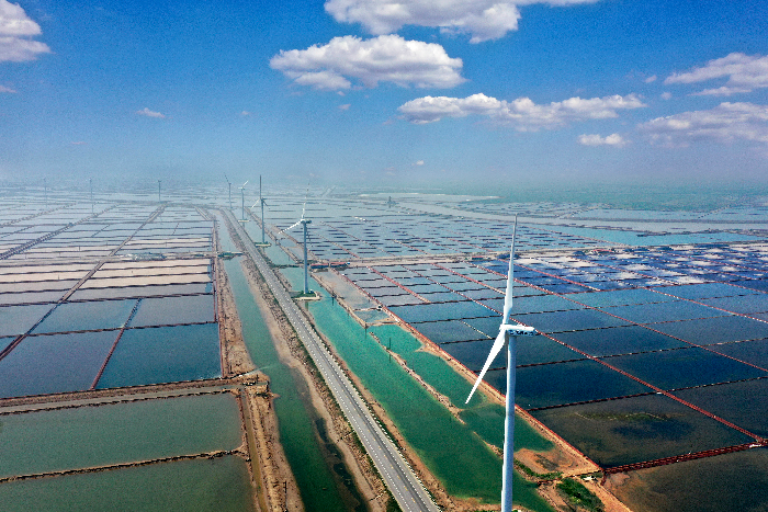 濱州依河傍海，土地資源富集，可用於風電、光伏集中連片開發面積達到129萬畝，可開發總裝機規模6000萬千瓦。圖為沾化區濱海鎮鹽田風車圖(資料圖)