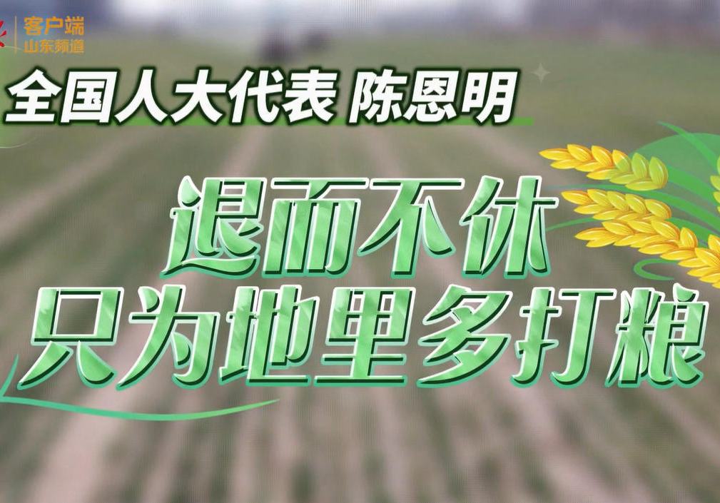 我从山东来① | 一位农业代表的独白：只为地里多打粮！