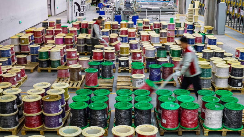 2026年2月24日，在位于山东乐陵经济开发区的曼德汽车零部件有限公司生产车间，工人正在忙着配送汽车线束。