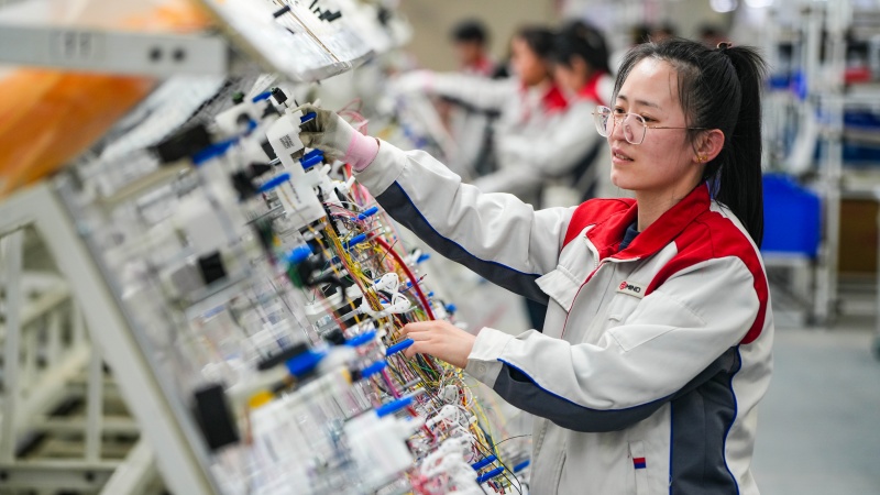 在位于山东乐陵经济开发区的曼德汽车零部件有限公司生产车间，工人正赶制汽车线束订单产品。