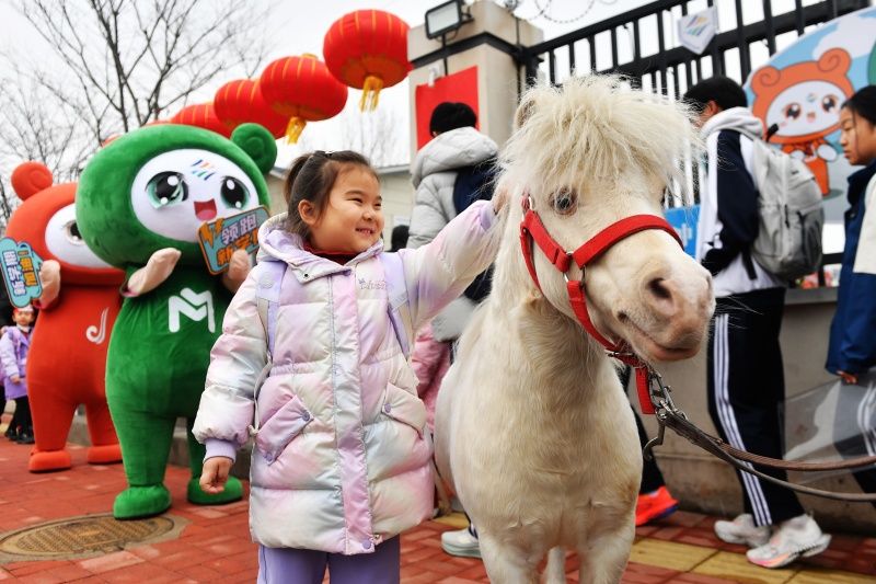 2026年3月4日，在山東省青島市城陽區景明學校開展的傳統文化迎開學活動上，一名小朋友與小白馬互動。王海濱攝