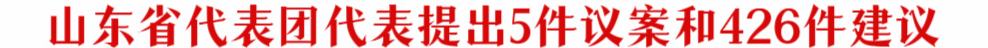 山東省代表團代表提出5件議案和426件建議
