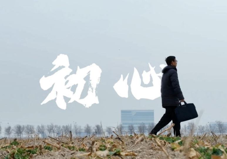 我从山东来⑦ | 一位黄河入海口代表的“粮安梦”： 只为“盐碱荒”变“新粮仓”