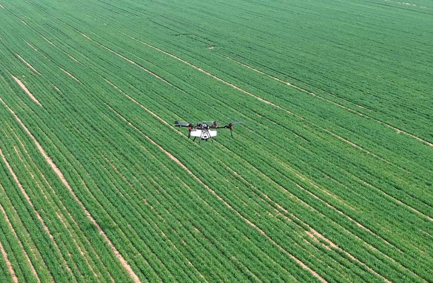 冬小麥返青時節，鄆城縣開展“飛防”作業。何泓池攝