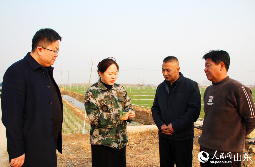 農技服務站工作人員和種糧大戶討論小麥長勢。人民網記者 宋翠攝