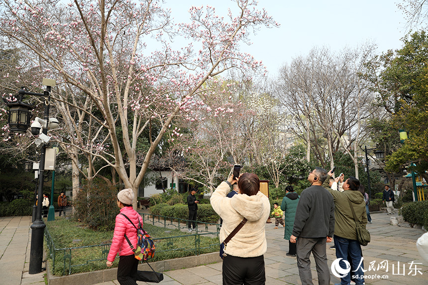 游客在玉蘭樹下拍照打卡，記錄春日美好瞬間。人民網記者 劉祺攝