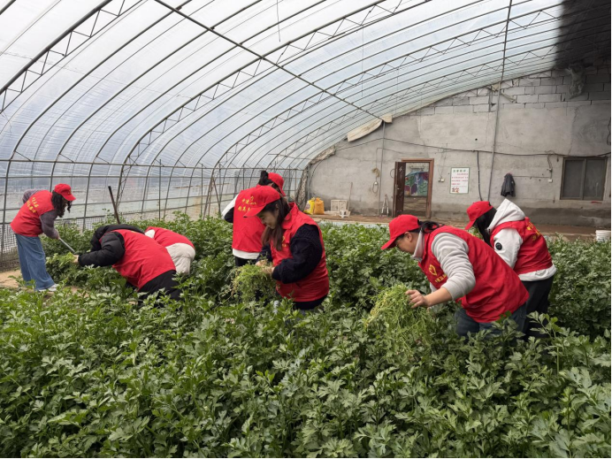 帮助农户清理杂草