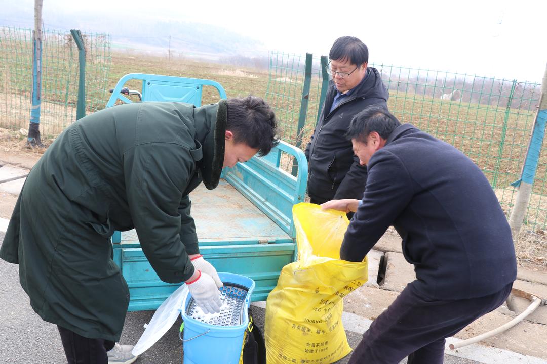 杨为田（右一）在尹相彩（右二）的指导下配制有机肥。卢立平摄