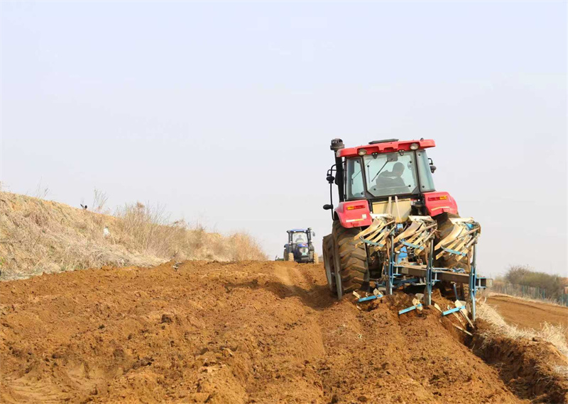 旋耕机在田间作业。卢立平摄