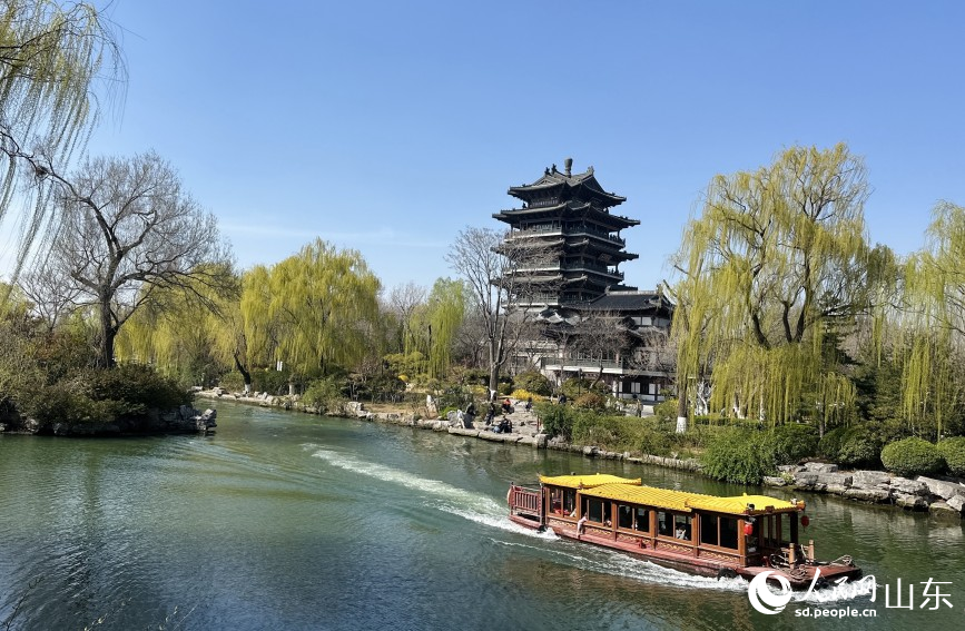 大明湖超然楼前春水荡漾,画舫轻行。人民网记者 乔姝摄