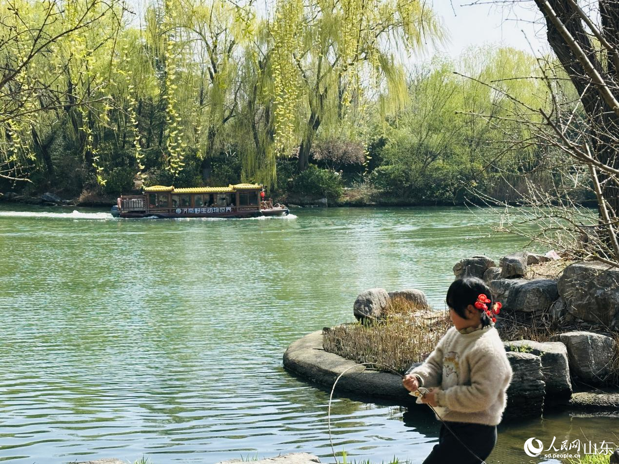 大明湖畔,孩童赏春游乐。人民网记者 乔姝摄
