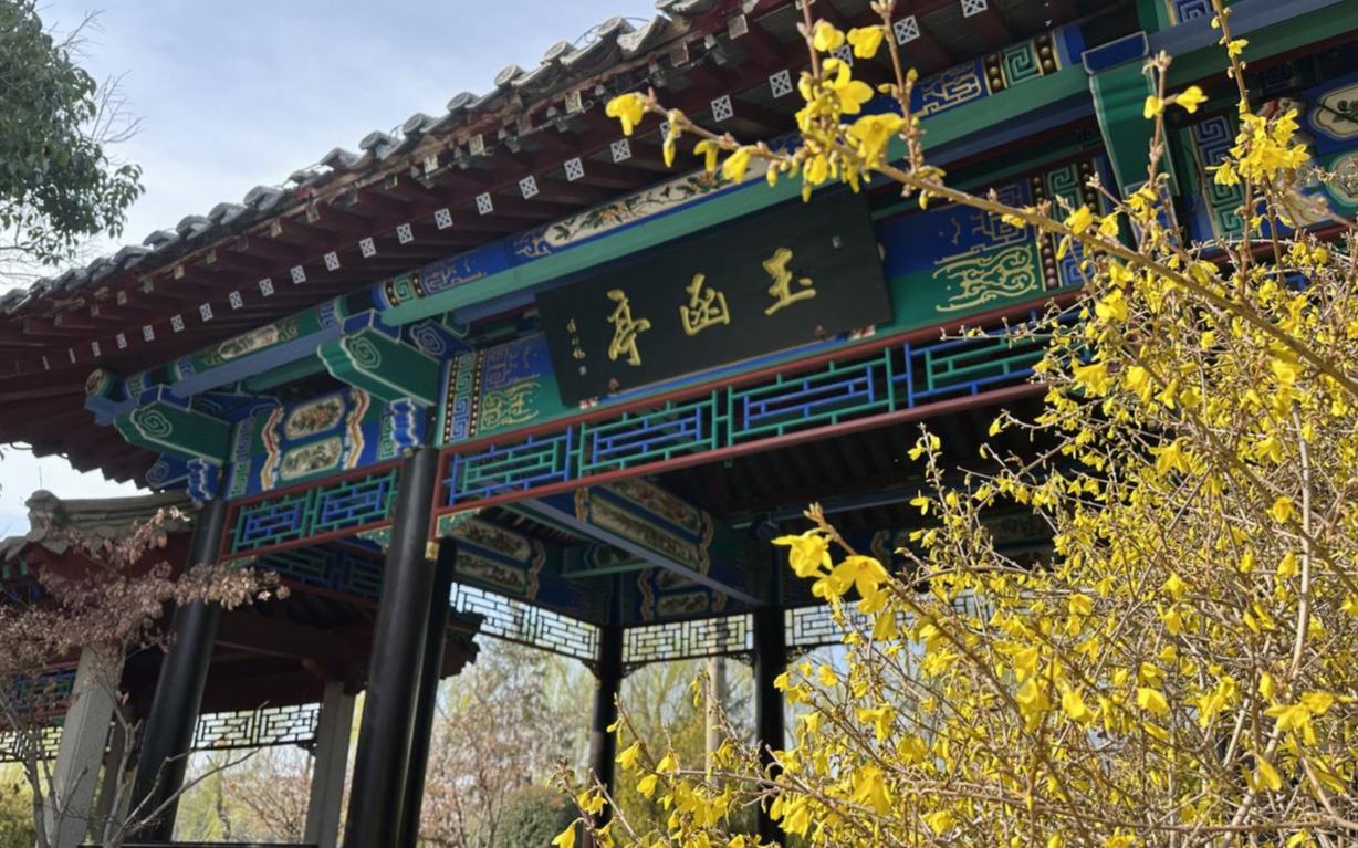 春染明湖 繁花入画