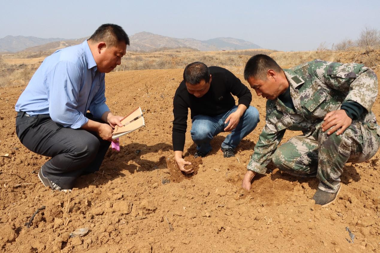 图为烟站、合作社以及烟农正在检查烟田翻耕质量