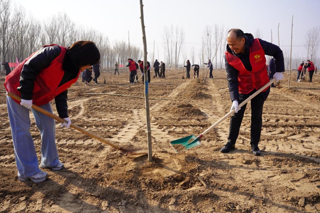 志願者合力植樹填土