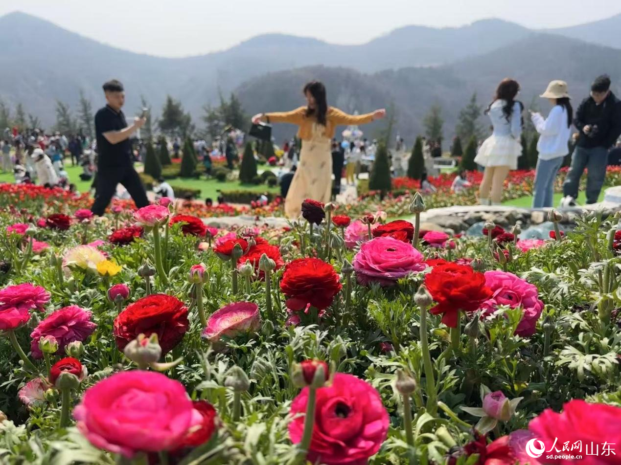 游人漫步花间，感受山野间盎然生机。人民网记者 乔姝摄