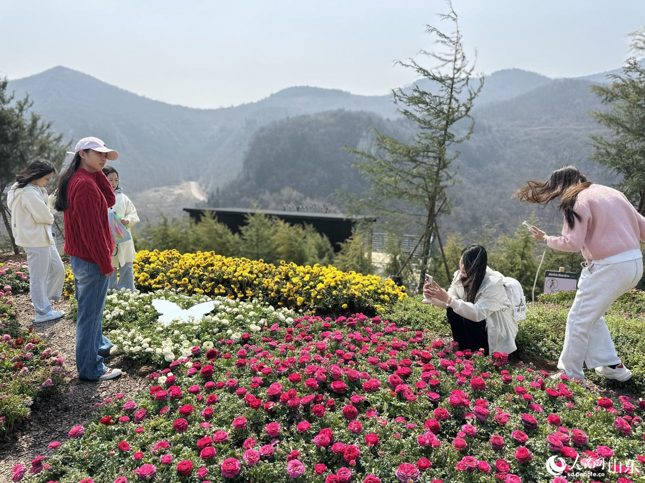 游人漫步花间，感受山野间盎然生机。人民网记者 乔姝摄