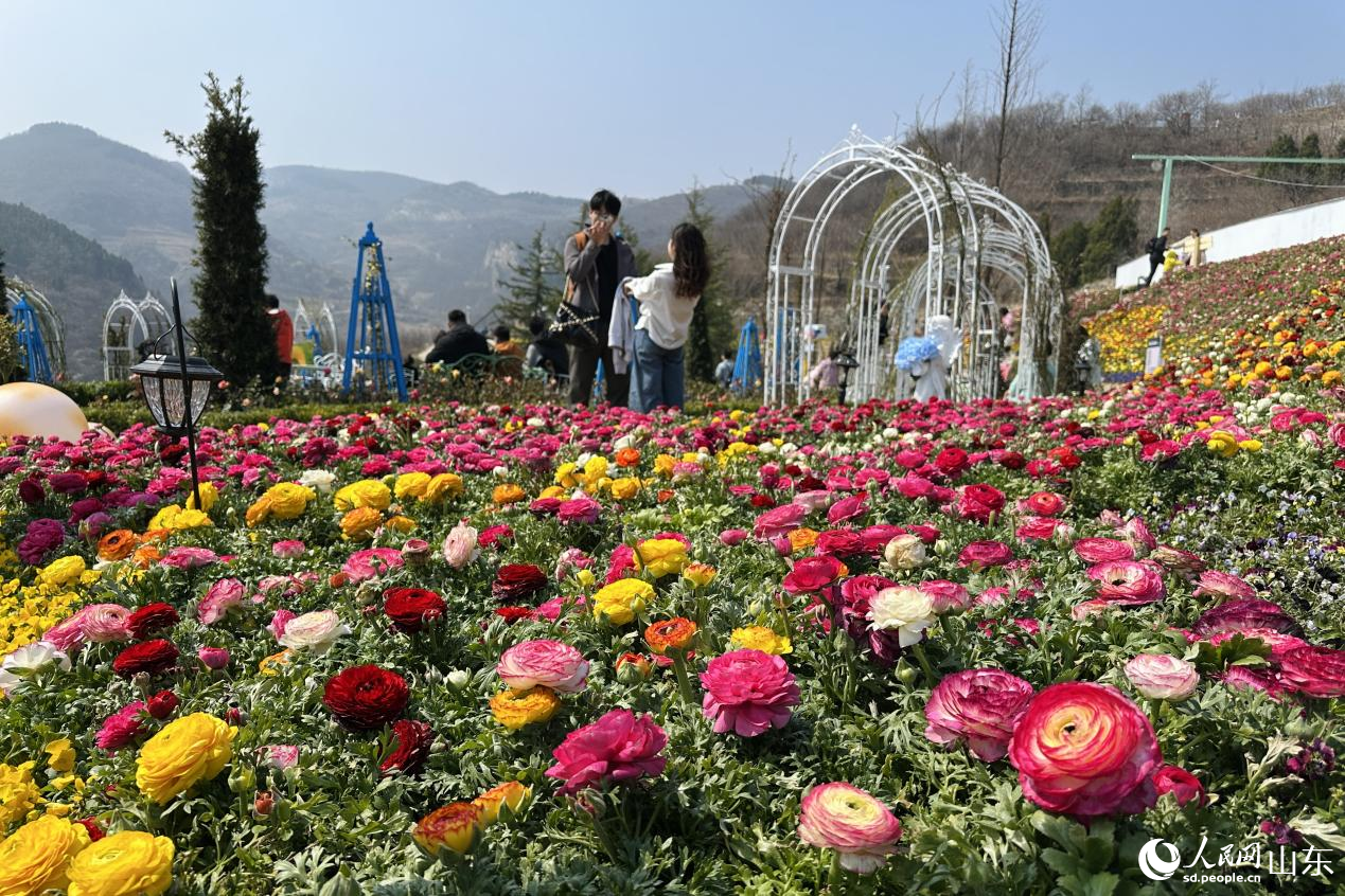游人漫步花间，感受山野间盎然生机。人民网记者 乔姝摄