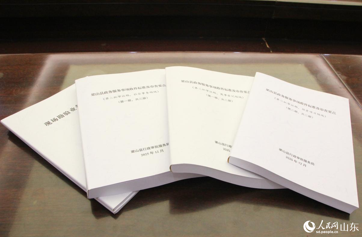 政务服务标准化拆解清单。人民网记者 宋翠摄