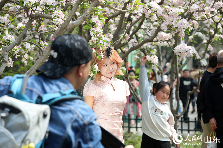 ���Ļ������ޣ��ο�פ�㻨�£��þ�ͷ����Ȫ�Ǵ�ɫ������������ ������