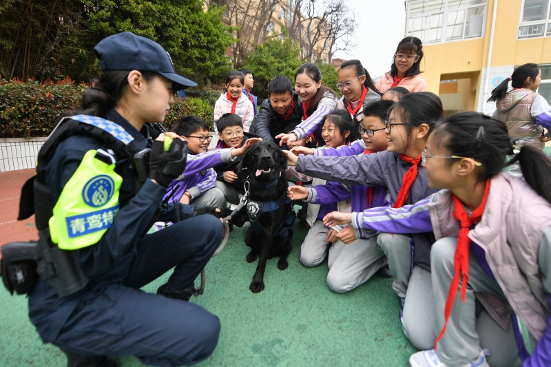 2026年3月30日，在山东省青岛市市北区寿光路小学开展的安全教育进校园主题活动上，学生们与搜爆犬互动。