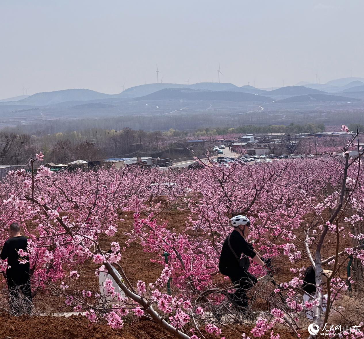 �ο����ڻ����д��У���ͬ�������ˡ��������� ����ͯ��