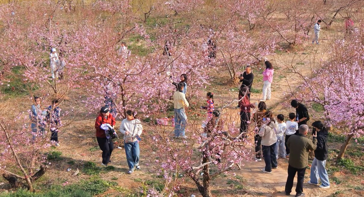 �ο������ּ��ͻ����档���Ȼ��