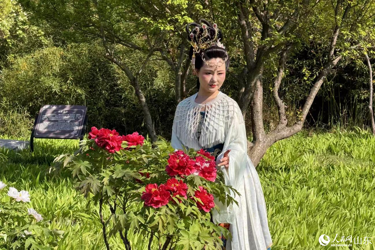 菏泽牡丹盛放,游人花间赏花打卡。人民网记者 乔姝摄